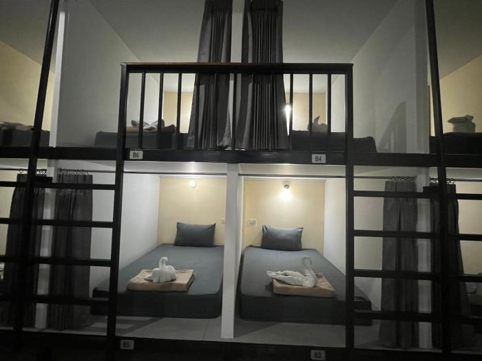 3 tigers resort and hostel