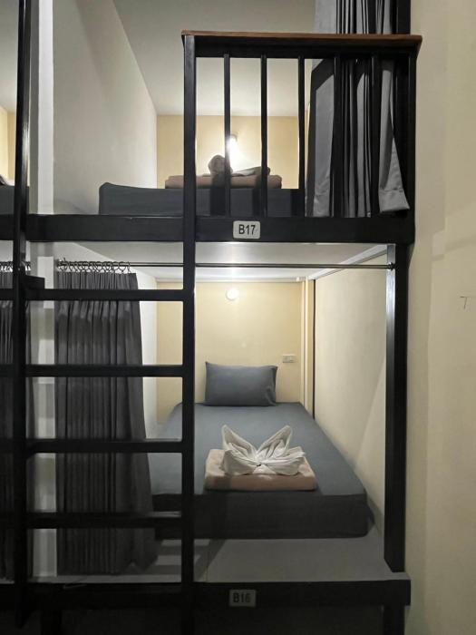 3 tigers resort and hostel