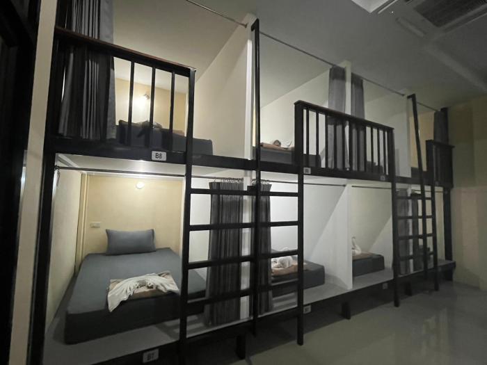 3 tigers resort and hostel