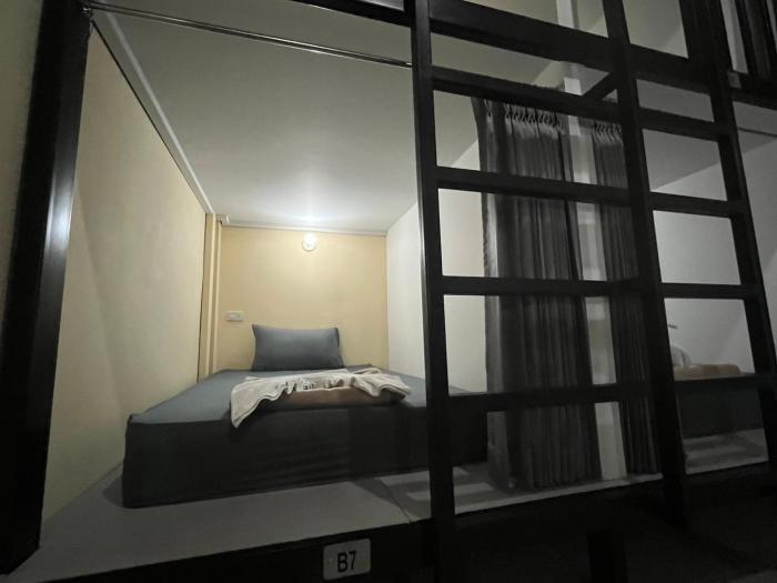 3 tigers resort and hostel