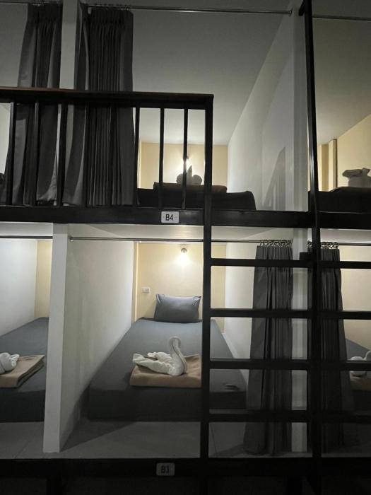 3 tigers resort and hostel