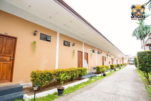 3 tigers resort and hostel