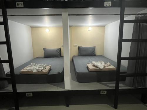 3 tigers resort and hostel