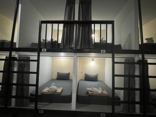 3 tigers resort and hostel