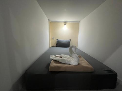 3 tigers resort and hostel