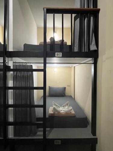 3 tigers resort and hostel