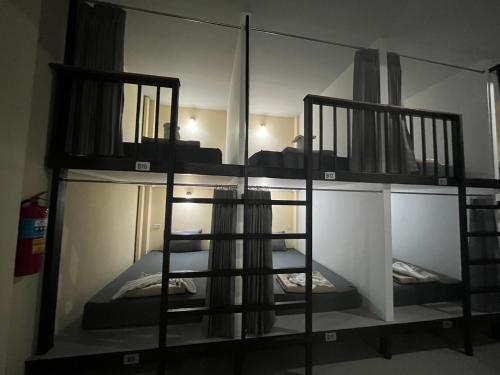 3 tigers resort and hostel