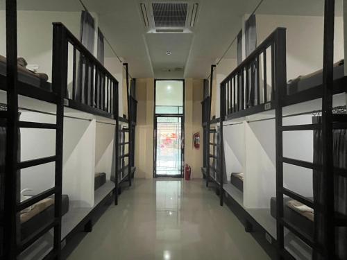 3 tigers resort and hostel