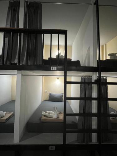 3 tigers resort and hostel