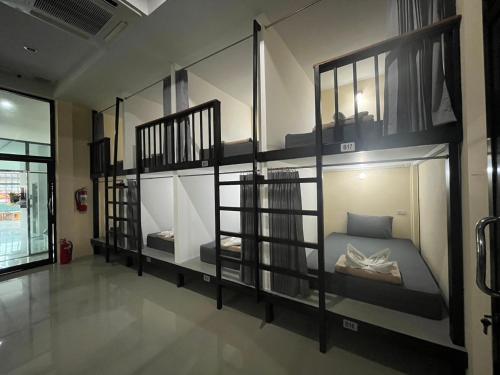 3 tigers resort and hostel