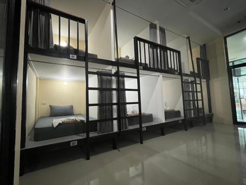 3 tigers resort and hostel