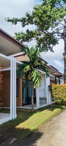 3 tigers resort and hostel