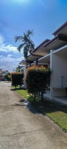 3 tigers resort and hostel