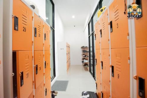 3 tigers resort and hostel