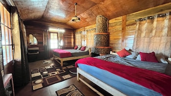 mount olympus hood cabin