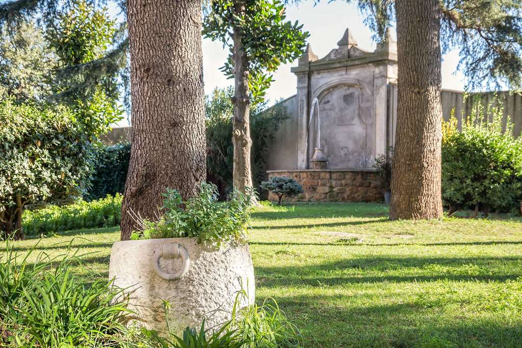 occidental aurelia