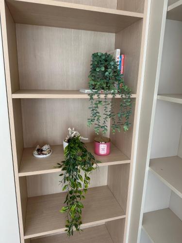 fantasea condo kamala