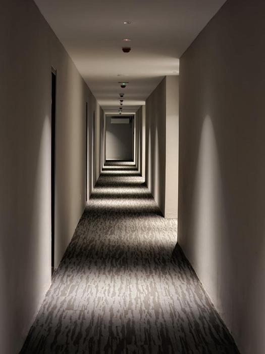 roxy hotel malihah