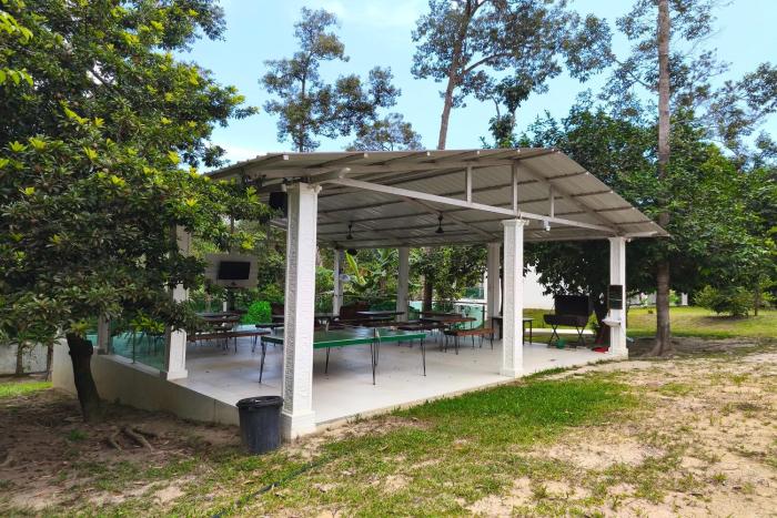 alsafina forest stay