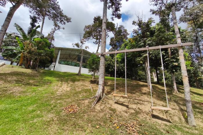 alsafina forest stay