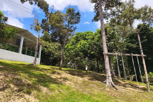 alsafina forest stay