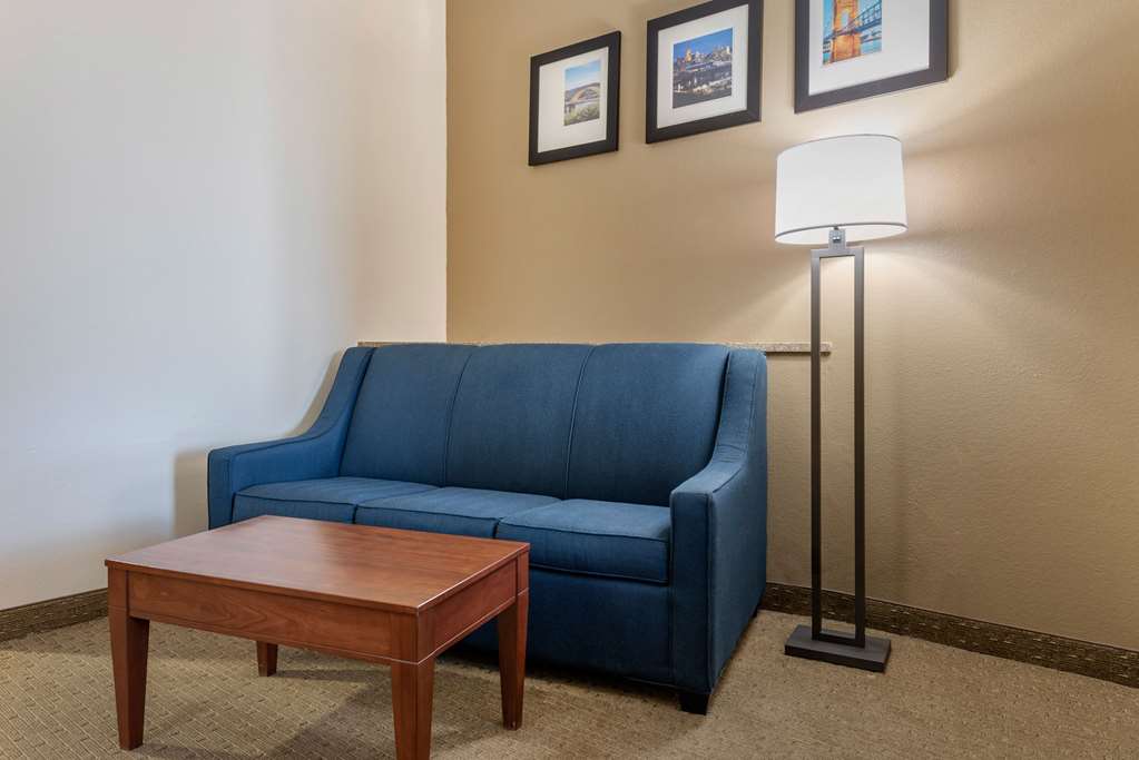 comfort suites cincinnati airport
