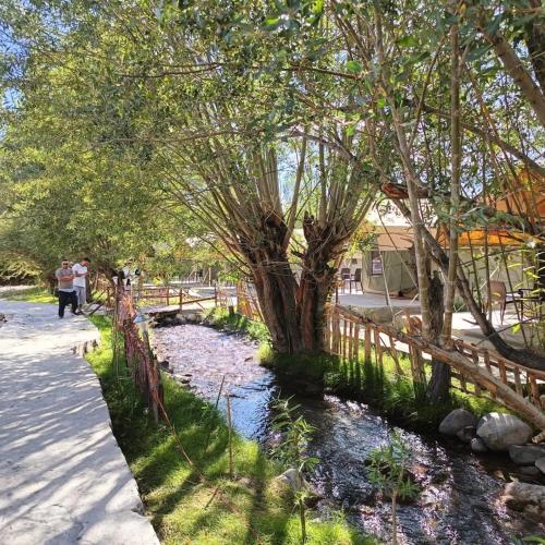 the brook camp hunder nubra