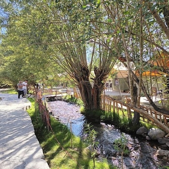 the brook camp hunder nubra