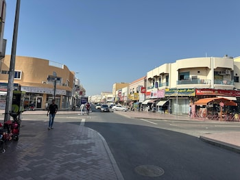 palm inn hostel mix dormitory