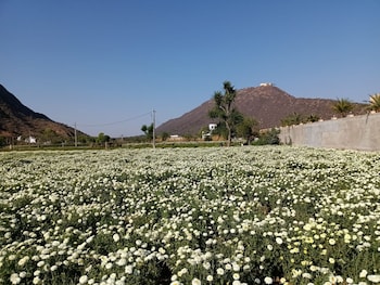 pushkar