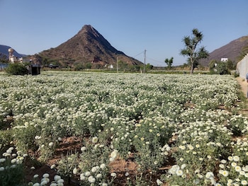 pushkar