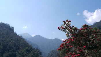 mandakini valley resort