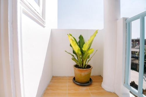bandb chiangrai