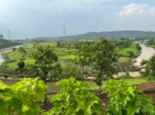 hotel vijay grand by grb