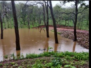 hotel vijay grand by grb