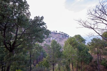 alaya stays captains nest 3 bhk retreat with garden and scenic views