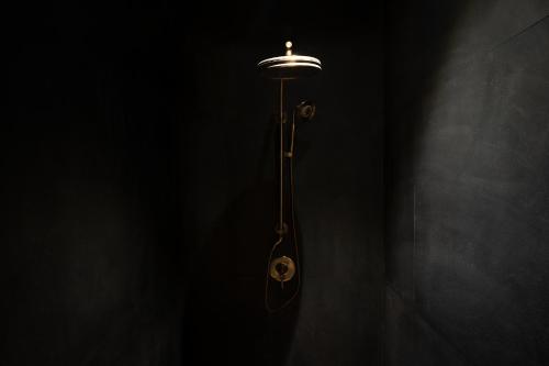 the postcard in the himalayan willows