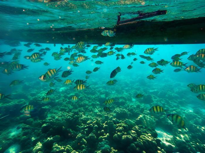 phuket moonlit bay seaview resortandspa