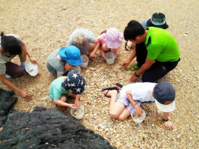 phuket moonlit bay seaview resortandspa