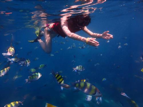 phuket moonlit bay seaview resortandspa