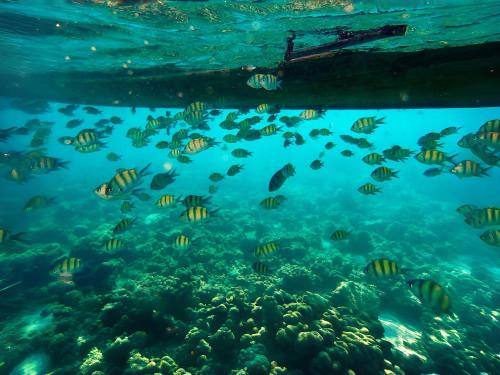 phuket moonlit bay seaview resortandspa