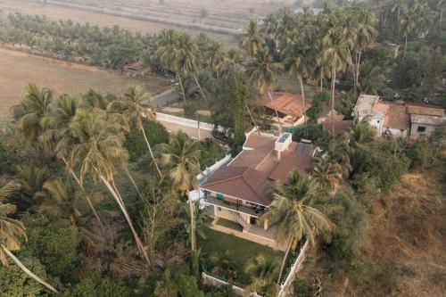 ama stays and trails assa 360 goa