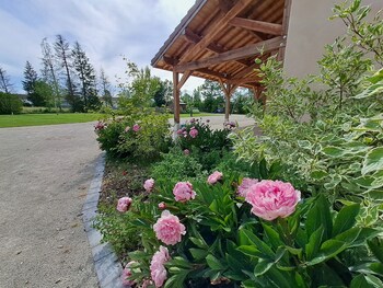 la pause o logis