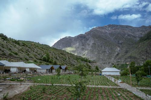 camp the sanga