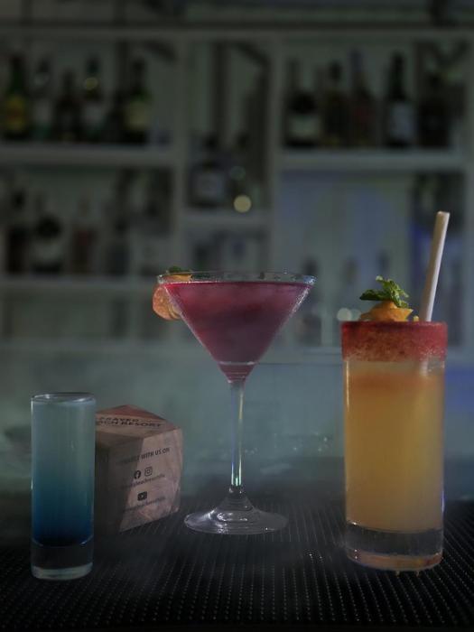 praveg beach resort nagoa beach diu