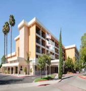 hilton stockton