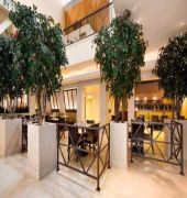 hilton stockton