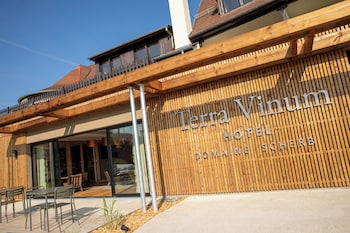 terra vinum
