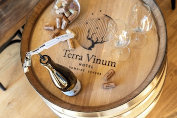 terra vinum