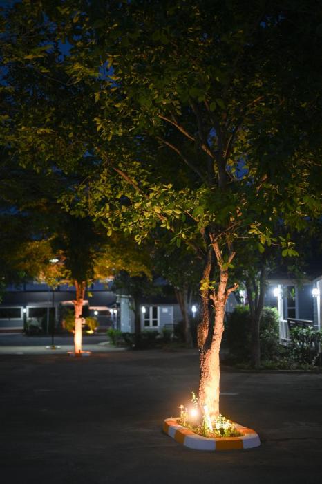 mina resort and spa